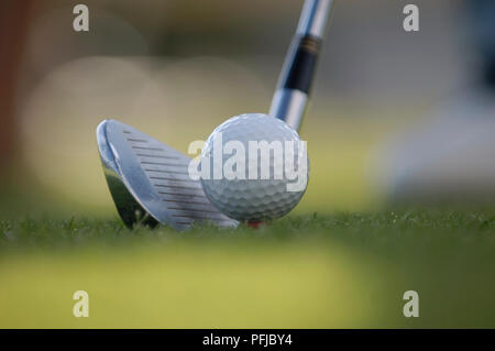 Golf Club positioniert neben Golf Ball, close-up Stockfoto