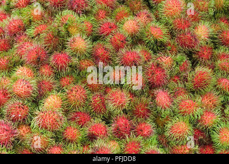 Malaysia, Rambutan Nephelium lappaceum (), Obst am Kuala Lumpur Chow Kit Marktstand Stockfoto