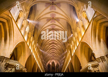 Weitwinkelaufnahme suchen, um sich auf die großen gewölbten Decke von Wells Cathedral in Somerset England Stockfoto