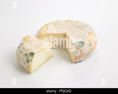 In Scheiben geschnitten Umlauf der Robiola di Roccaverano PDO, Ziege, Schaf und Kuh Milch Käse mit Schimmel auf Rinde Stockfoto