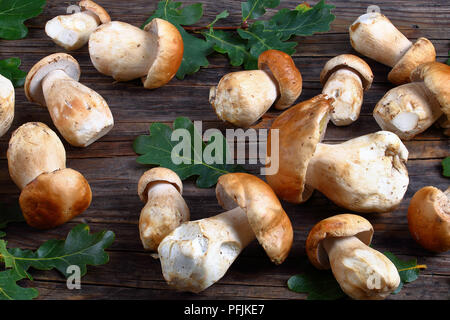 Frische organische Steinpilzen auf alten, dunklen Holztisch mit grün Eichenlaub auf Hintergrund, Ansicht von oben, close-up Stockfoto