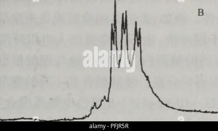 Diese chinesische botanische Studie konzentriert sich auf die Biologie und Ökologie der Dan Bai Zhi Pflanze und ihrer verwandten Arten. Die Arbeit erforscht ihre Verwendung in der traditionellen Medizin und ihre ökologische Rolle in ihren heimischen Lebensräumen. Stockfoto