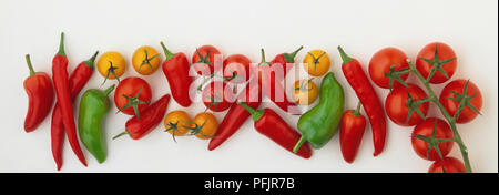Westland Chili, Jalapeno Chilis, Fresno Chilis, Strauchtomaten und Gelbe Kirschtomaten Stockfoto