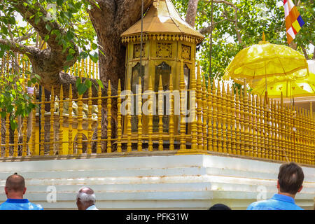 Die goldenen Zaun um die Jaya Sri Maha Bodhi, den Heiligen Feigenbaum Stockfoto