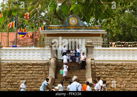 Der Eingang des Jaya Sri Maha Bodhi, den Heiligen Feigenbaum Stockfoto