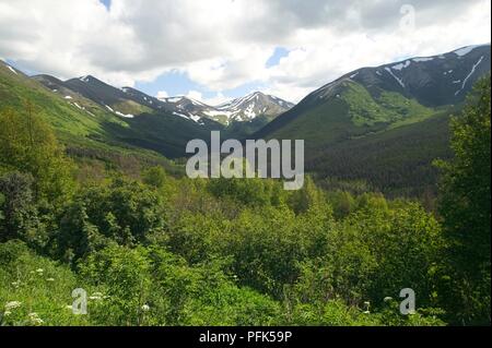 USA, Alaska, Kenai Halbinsel, grüne Tal und die schneebedeckten Berge Stockfoto