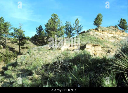 . Botanische und Vegetation Umfrage von Carter County, Montana, Büro für Landmanagement - verabreicht. Botanik; seltener Pflanzen. Astragal PhatabySlmDfitwhf barrii Lebensraum. Bitte beachten Sie, dass diese Bilder sind von der gescannten Seite Bilder, die digital für die Lesbarkeit verbessert haben mögen - Färbung und Aussehen dieser Abbildungen können nicht perfekt dem Original ähneln. extrahiert. Vanderhorst, James P; Cooper, Stephen V; Heidel, Bonnie L; in den Vereinigten Staaten. Büro der Landbewirtschaftung; Montana natürlichen Erbes Programm. Helena, MT: Montana natürlichen Erbes Programm Stockfoto