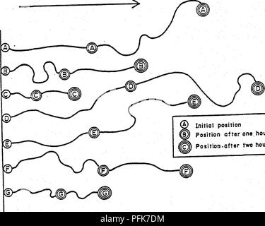 . Hydrochemischen, vegetative und mikrobiologischen Auswirkungen einer natürlichen und eine Pflanzenkläranlage über die Kontrolle von Acid Mine Drainage. Mine Drainage; Acid Mine Drainage; Feuchtgebiete. Hydrodynamische Dispersion ist die Verbreitung der auftritt, sowohl senkrecht und in Richtung Grundwasser-, der eine wasserlösliche Substanz, die mit dem Grundwasser transportiert wird. Der transit Geschwindigkeit bestimmter wasserlöslicher Stoffe können höher oder niedriger ist als die durchschnittliche Geschwindigkeit des Grundwassers. Hydrody-dynamischen Dispersion ist abhängig von der Geschwindigkeit Verteilung im Medium und molekulare Diffusion. Stockfoto