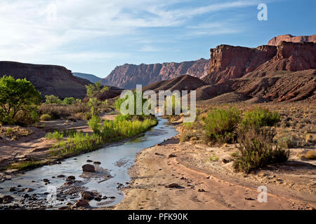 AZ 00332-00 ... ARIZONA - am unteren Ende der Paria River durch den Glen Canyon National Recreation Area. Stockfoto