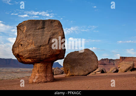 AZ 00343-00 ... ARIZONA - Rock in der Nähe von fliegenpilzen Balanced Rock an der Basis der Vermilion Cliffs im Glen Canyon National Recreation Area entfernt. Stockfoto