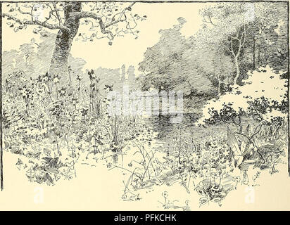 Dieser zweite Eintrag der „Cyclopedia of American Horticulture“ enthält ausführliche Beschreibungen von Pflanzenarten in Nordamerika, detailliert deren Anbau, Nutzung und biografische Skizzen und geografische Zusammenhänge. Stockfoto