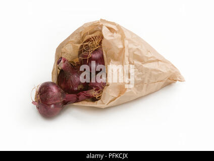 Bio rote Zwiebeln verschütten aus braunen Papiertüte Stockfoto