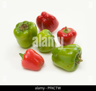 Frische organische Capsicum annuum (Paprika), rote und grüne Sorten Stockfoto