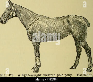 Die Zyklopädie landwirtschaftlicher Nutztiere umfasst ein breites Spektrum von Haustieren und ihren Produkten, wobei der Schwerpunkt auf landwirtschaftlichen Praktiken und Tierhaltung liegt. Sie enthält historische Aufzeichnungen über Pferdereisen und andere landwirtschaftliche Praktiken in der Tierpflege, die Landwirten und Tierexperten nützliches Wissen bieten. Stockfoto