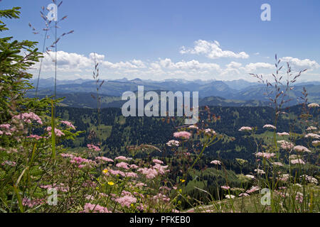 Ansicht Südost von Hochgrat in der Nähe von Steibis, Allgäu, Bayern, Deutschland Stockfoto