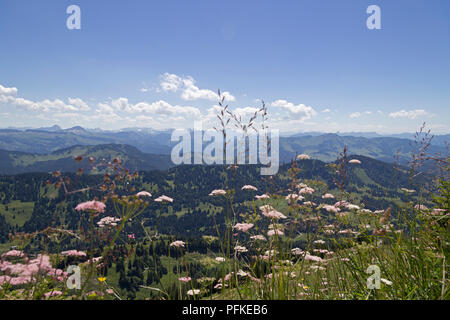 Ansicht Südost von Hochgrat in der Nähe von Steibis, Allgäu, Bayern, Deutschland Stockfoto