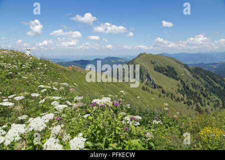 Blick über die Nagelfluhkette zwischen Hochgrat Gipfel zu Rindalphorn, in der Nähe von Steibis, Allgäu, Bayern, Deutschland Stockfoto