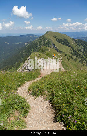 Blick über die Nagelfluhkette zwischen Hochgrat Gipfel zu Rindalphorn, in der Nähe von Steibis, Allgäu, Bayern, Deutschland Stockfoto