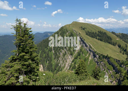 Blick über die Nagelfluhkette zwischen Hochgrat Gipfel zu Rindalphorn, in der Nähe von Steibis, Allgäu, Bayern, Deutschland Stockfoto