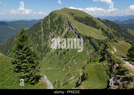 Blick über die Nagelfluhkette zwischen Hochgrat Gipfel zu Rindalphorn, in der Nähe von Steibis, Allgäu, Bayern, Deutschland Stockfoto