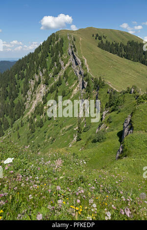 Blick über die Nagelfluhkette zwischen Hochgrat Gipfel zu Rindalphorn, in der Nähe von Steibis, Allgäu, Bayern, Deutschland Stockfoto