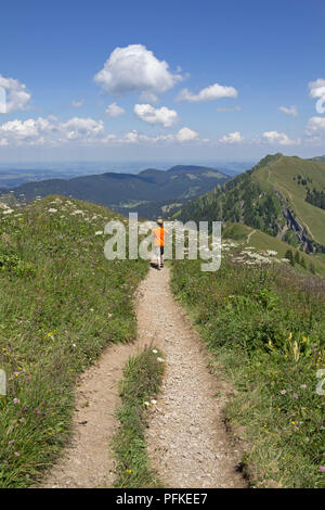 Wandern entlang der Nagelfluhkette zwischen Hochgrat Gipfel zu Rindalphorn, in der Nähe von Steibis, Allgäu, Bayern, Deutschland Stockfoto