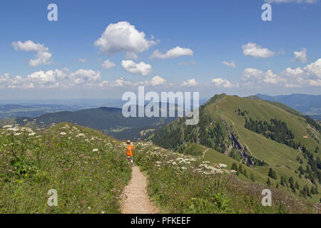 Wandern entlang der Nagelfluhkette zwischen Hochgrat Gipfel zu Rindalphorn, in der Nähe von Steibis, Allgäu, Bayern, Deutschland Stockfoto