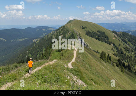 Wandern entlang der Nagelfluhkette zwischen Hochgrat Gipfel zu Rindalphorn, in der Nähe von Steibis, Allgäu, Bayern, Deutschland Stockfoto