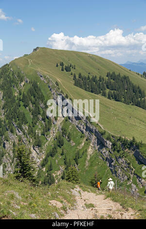 Wandern entlang der Nagelfluhkette zwischen Hochgrat Gipfel zu Rindalphorn, in der Nähe von Steibis, Allgäu, Bayern, Deutschland Stockfoto