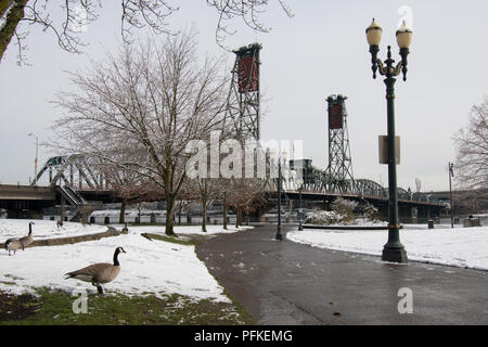 Tom McCall Waterfront Park entlang der Willamette River und der Hawthorne Bridge in Portland, Oregon, auf einen schneereichen Winter. Gänse auf Gras. Stockfoto