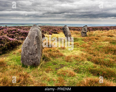 Zwölf Apostel Steinkreis Bronzezeit geplante Denkmal auf Burley Moor West Yorkshire England Stockfoto