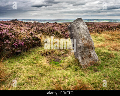 Zwölf Apostel Steinkreis Bronzezeit geplante Denkmal auf Burley Moor West Yorkshire England Stockfoto