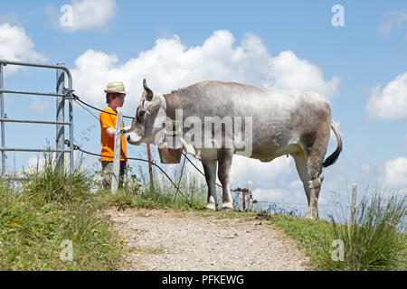 Junge streichelte Kuh auf Hochgrat Gipfel in der Nähe von Steibis, Allgäu, Bayern, Deutschland Stockfoto