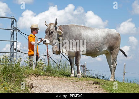 Jungen auf der Suche nach Kuh auf Hochgrat Gipfel in der Nähe von Steibis, Allgäu, Bayern, Deutschland Stockfoto