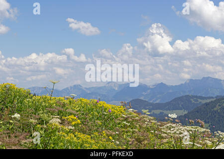 Ansicht Südost von Hochgrat Gipfel in der Nähe von Steibis, Allgäu, Bayern, Deutschland Stockfoto