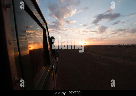 Die Masai Mara, Kenia, Game Safari Stockfoto