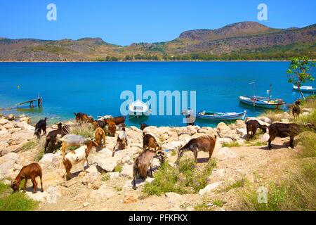 Karathona Strand, Nafplio, Argolis, Peloponnes, Griechenland, Südeuropa Stockfoto