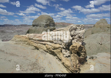 Argentinien, Patagonien, Reserva Natural Bosque Petrificado Jose Ormachea, versteinerter Baumstamm und Felsformationen Stockfoto