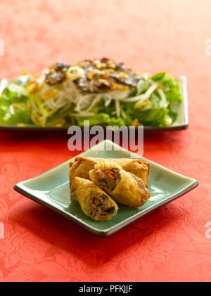 Vietnamesische Frühlingsrollen gefüllt mit Schweinefleisch und Gemüse und Salat garniert mit Sojasprossen und Dressing Stockfoto