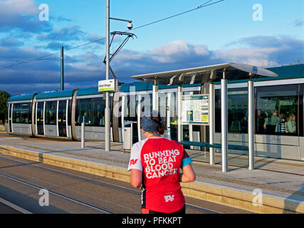 Nottingham Express Straßenbahn, Wilford Dorf, Nottinghamshire, England Großbritannien Stockfoto