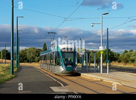 Nottingham Express Straßenbahn, Wilford Dorf, Nottinghamshire, England Großbritannien Stockfoto