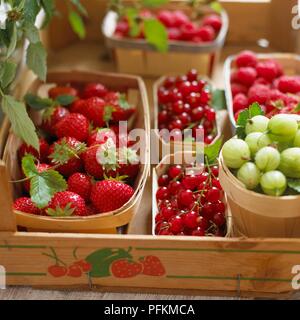 Körbchen von Beeren auf Tisch Stockfoto