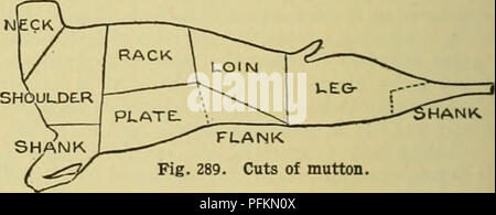 Dieser Eintrag in der Zyklopädie landwirtschaftlicher Nutztiere enthält umfassende Informationen über in der Landwirtschaft verwendete Nutztiere. Sie umfasst tierische Erzeugnisse mit Schwerpunkt auf Hammel- und Lamm-Produkten und enthält Ratschläge zu verschiedenen Teilstücken und kulinarischen Verwendungszwecken. Stockfoto