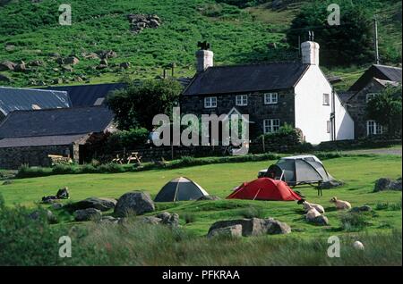 Großbritannien, Wales, Snowdonia, Caernarfonshire, Ogwen Valley, Bauernhaus mit Zelten auf einem Campingplatz im Vordergrund warf Stockfoto