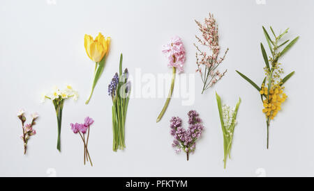 Bunte Auswahl an Schnittblumen, einschließlich Cherry Blossom, Narzisse, Cyclamen Persicum, Traubenhyazinthen, Tulpen, Hyazinthen, Besen, Flechtwerk, Flieder und Maiglöckchen Stockfoto