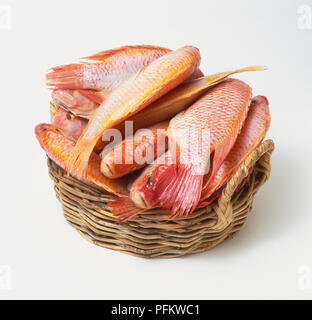Geflochtener Korb gestapelt mit Red Snapper (Lutjanus campechanus), aus der Nähe. Stockfoto