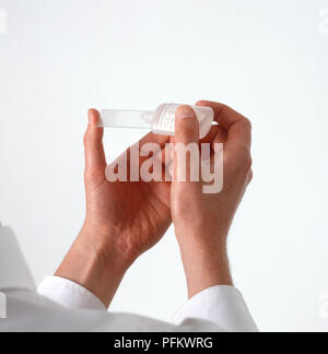 Hand zusammendrücken kleine Plastik Flasche Flüssigkeit auf mikroskopische schieben Stockfoto