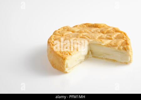 Runde der Epoisses de Bourgogne AOC Käse aus Kuhmilch Stockfoto