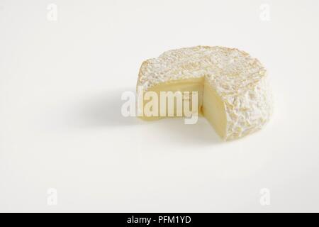 Runde der French Saint-Marcellin Ziegen- oder Kuhmilch Käse Stockfoto