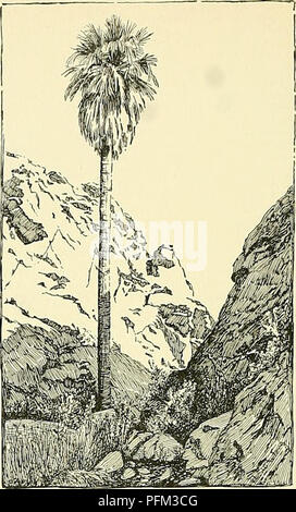 Dieser illustrierte Leitfaden deckt eine Reihe von Gartenpflanzen ab, von Obst und Gemüse bis zu Zierarten. Besondere Aufmerksamkeit wird dem Anbau und der geografischen Lage von Pflanzen in den USA und Kanada gewidmet, wobei der Schwerpunkt auf der Härte einiger Arten wie Dattelpalmen und Washingtonia filifera in unterschiedlichen Klimazonen liegt. Stockfoto